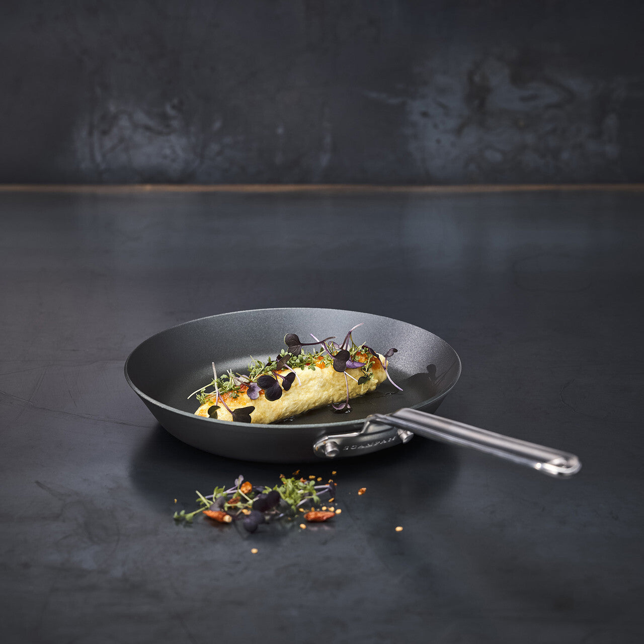 Scanpan 22cm Black Iron Carbon Steel Fry Pan