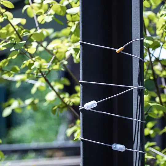 Luci Colour String Lights - Solar Powered Light