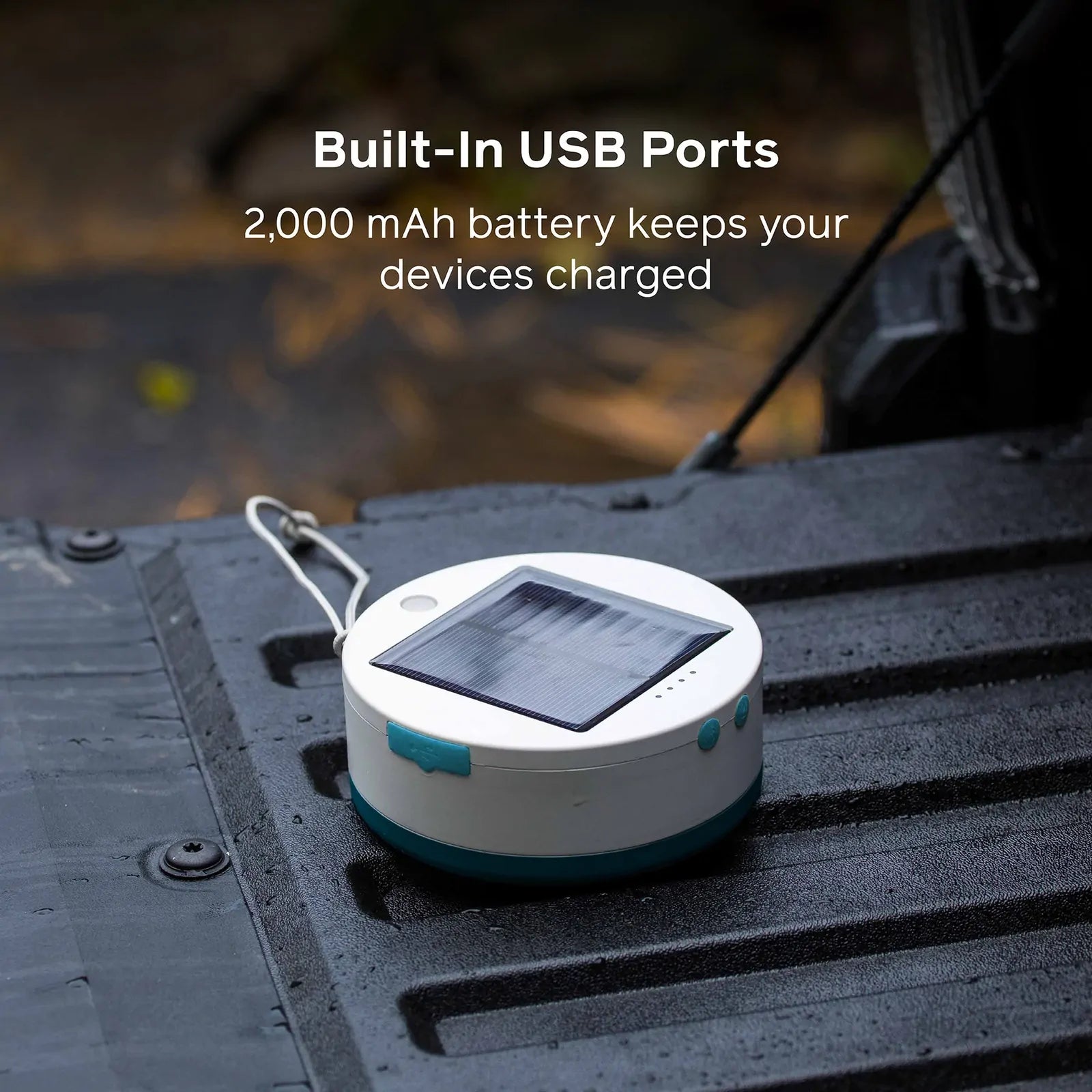 Solar String 18' Color