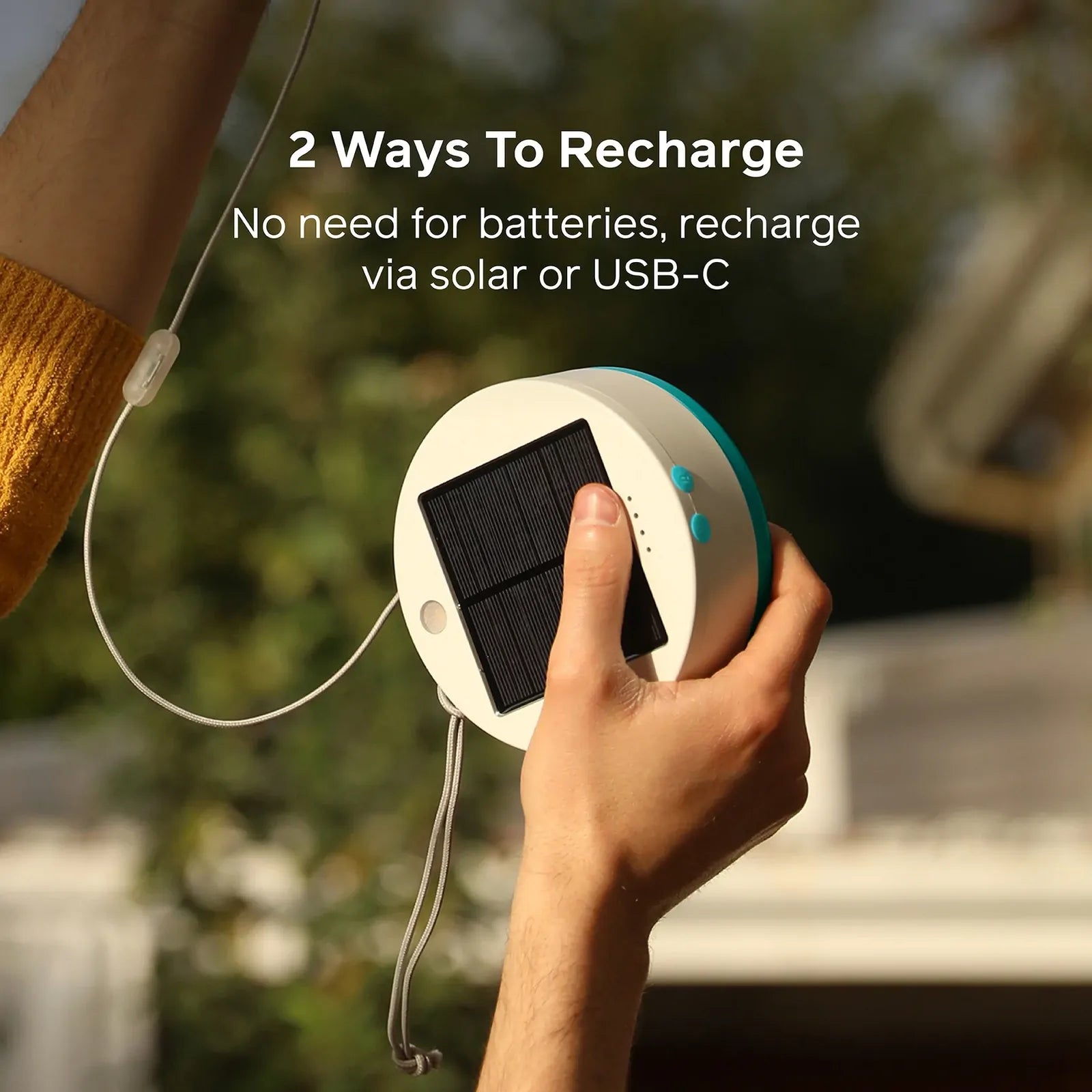 Solar String 18' Color